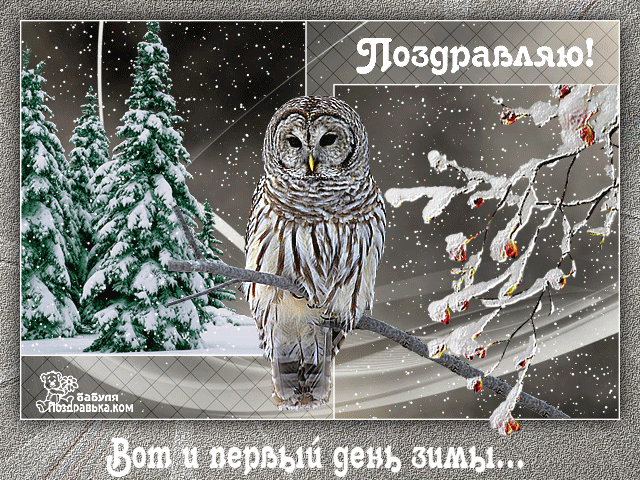 Мерцающие анимационные открытки с пожеланиями на первый день зимы