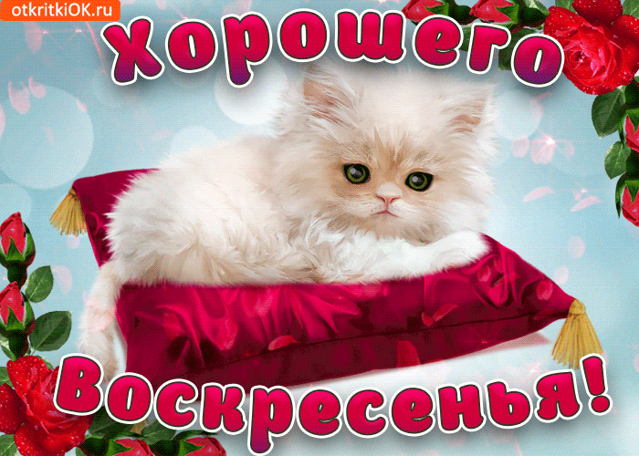 Мерцающие открытки про воскресенье. Открытки на воскресное утро.