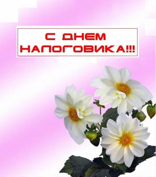 Открытки с днем работника налоговых органов скачать бесплатно.