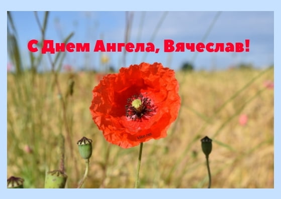 Открытки с именем Вячеслав скачать бесплатно. Открытки с днём рождения Слава. 