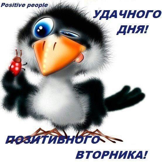 Позитивные открытки на вторник. Картинки про вторник скачать бесплатно.