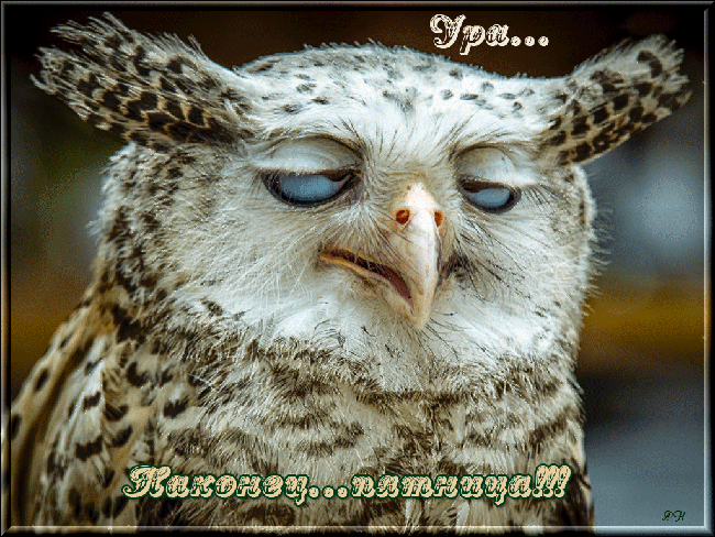 Прикольные открытки на пятницу. Открытки с пожеланиями на пятницу скачать бес...