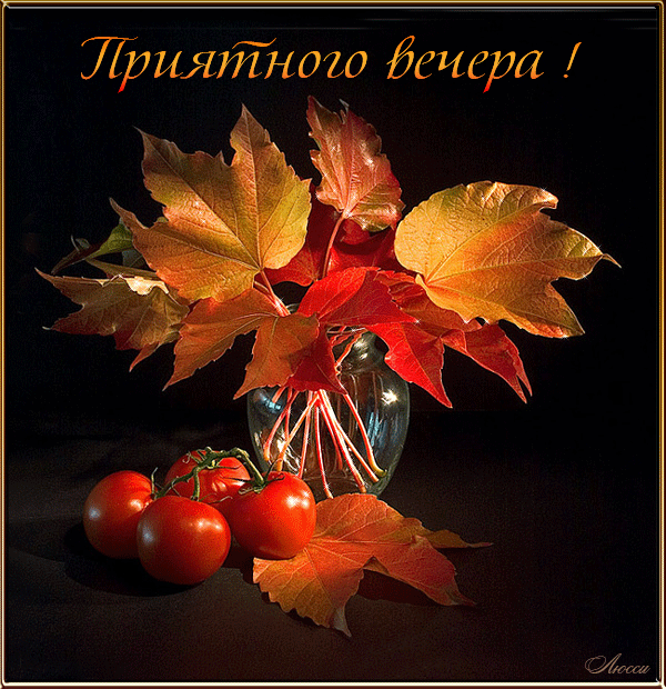 Анимационные открытки приятного вечера. Скачать бесплатно открытки хорошего в...