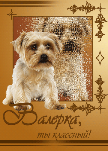 Открытки с днём рождения Валера. Поздравительные открытки с мужскими именами.