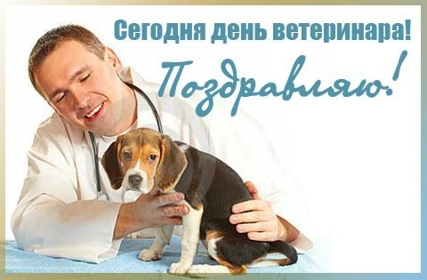 Поздравительные открытки с днем ветеринара скачать бесплатно.