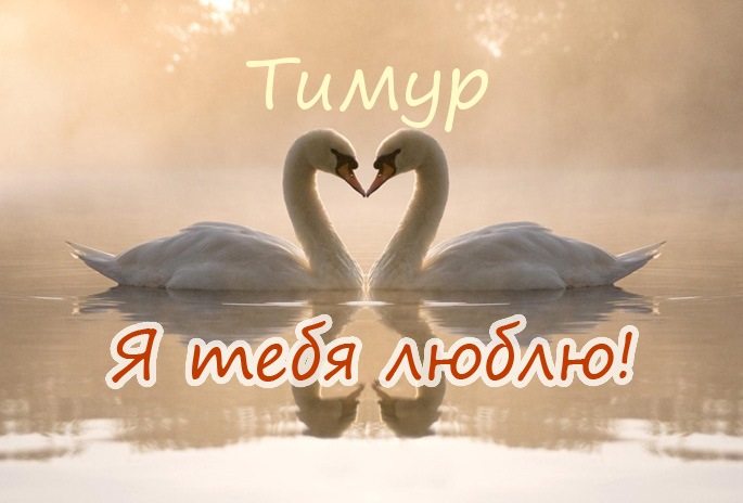 Открытки с именем Тима. С днём рождения Тимур открытки. Поздравительные Откры...