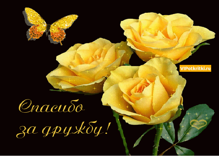 Красивые открытки для любимых друзей. Открытки о дружбе скачать бесплатно.
