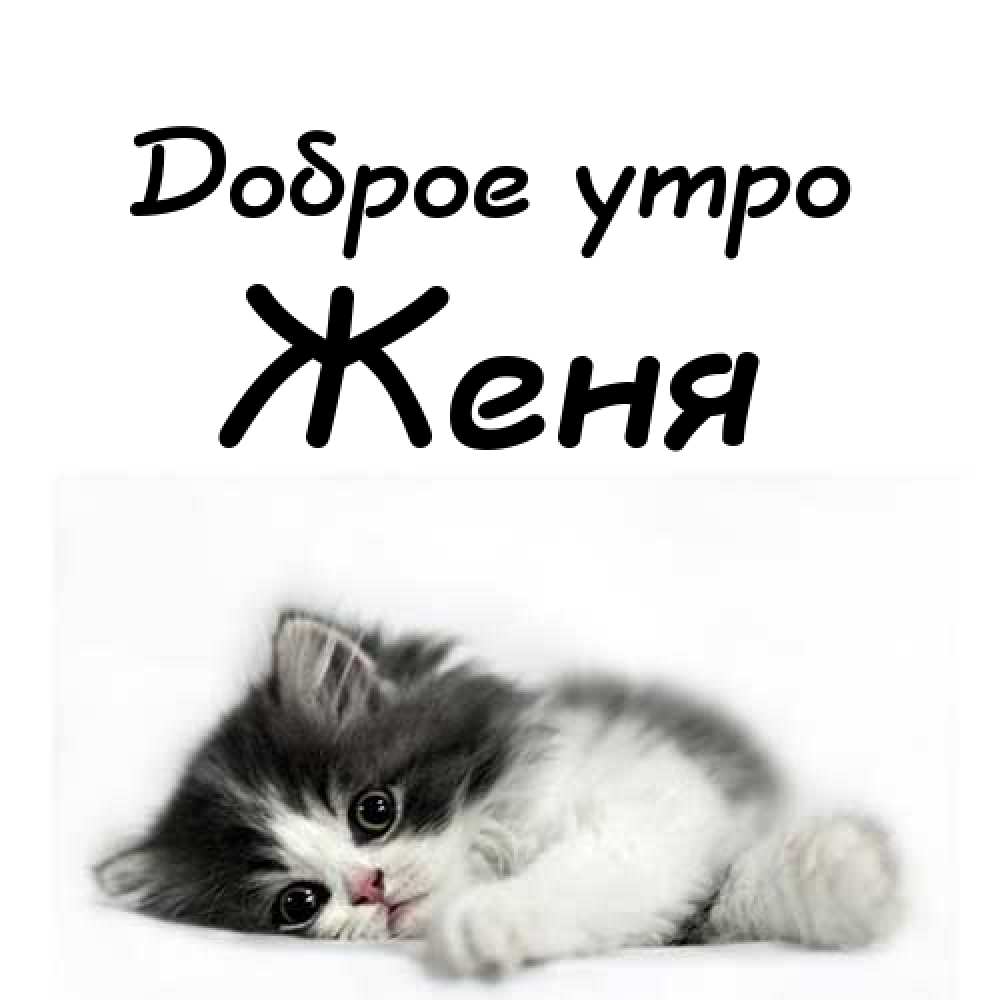 Открытки с именем Евгений gif. Открытки с днём рождения Женя. Открытки с имен...