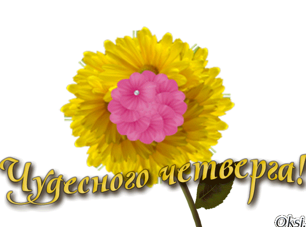 Открытки отличного четверга скачать бесплатно. Прикольные открытки на четверг...