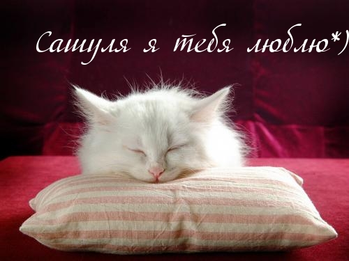 Открытки с именем Александра скачать бесплатно. Поздравительные открытки с им...