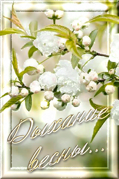 Красивые мерцающие открытки на весеннюю тематику. Скачать бесплатно открытки с весной.