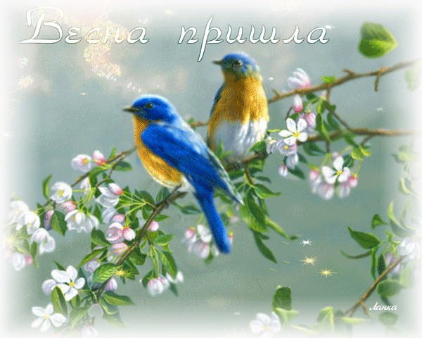 Красивые мерцающие открытки на весеннюю тематику. Скачать бесплатно открытки ...
