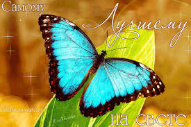 Мерцающие открытки с бабочками. Открытки с красивыми бабочками скачать беспла...