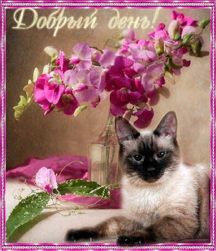 Открытки с пожеланиями хорошего дня. Скачать бесплатно открытки удачного дня.