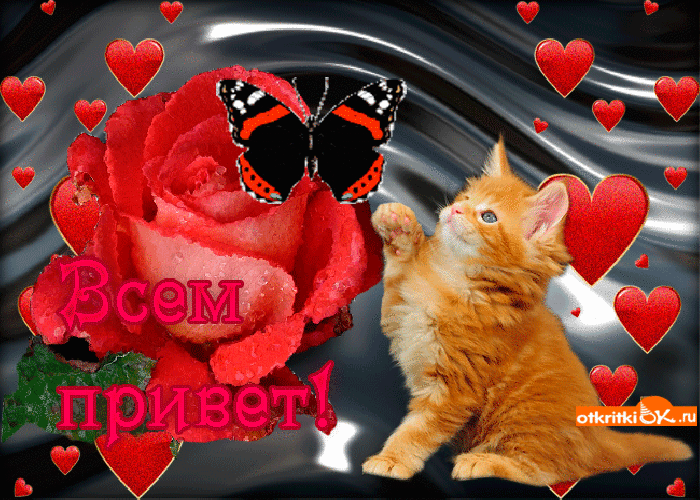 Красивые анимационные открытки с различными приветствиями скачать бесплатно.