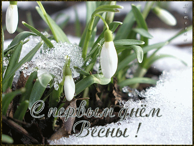 Красивые мерцающие открытки на весеннюю тематику. Скачать бесплатно открытки с весной.