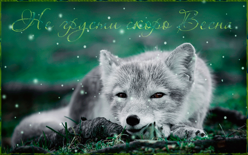 Мерцающие открытки с пожеланиями не грустить. Открытки не грусти скачать бесп...