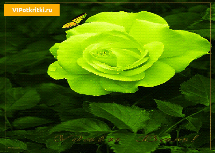 Открытки желаю удачи скачать бесплатно. Красивые открытки с пожеланиями удачи.