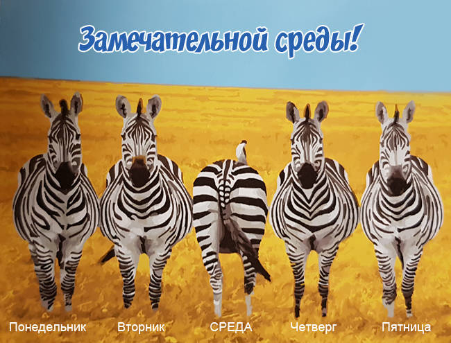 Открытки с пожеланиями отличной среды. Красивые открытки на среду.