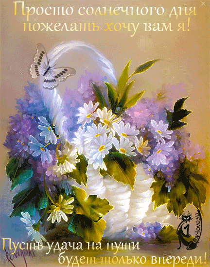 Открытки с пожеланиями хорошего дня. Скачать бесплатно открытки удачного дня.