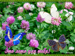 Мерцающие открытки с бабочками. Открытки с красивыми бабочками скачать беспла...