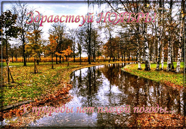 Оригинальные открытки с изображением осени. Открытки осень скачать бесплатно.