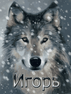 Открытки с именем Игорь скачать бесплатно. Анимационные открытки с именем Иго...