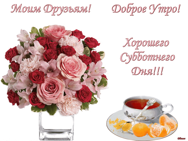 Интересные открытки на субботу. Веселые открытки на выходные.