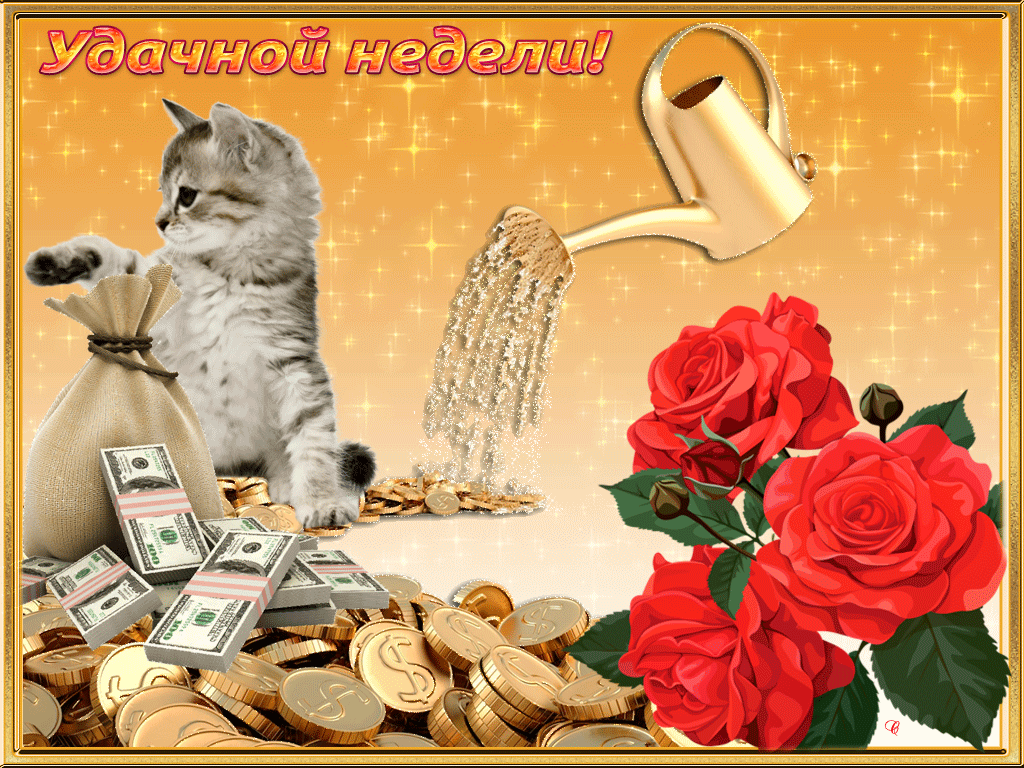 Забавные открытки с пожеланиями удачной недели. Открытки удачной недели скача...