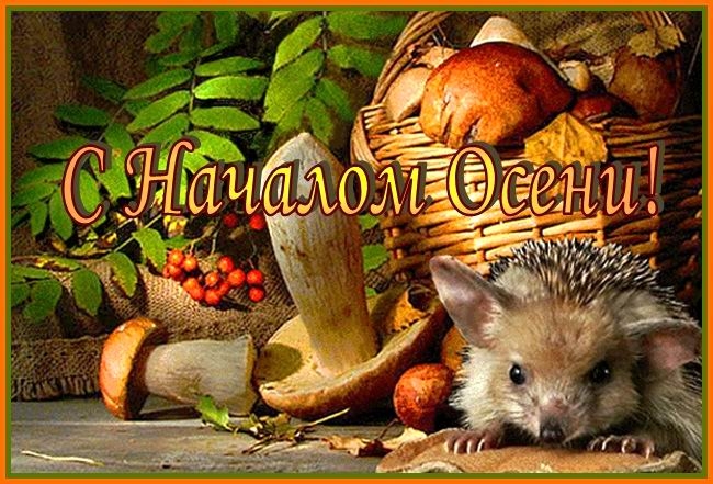 Красивые анимационные открытки на первый день осени скачать бесплатно
