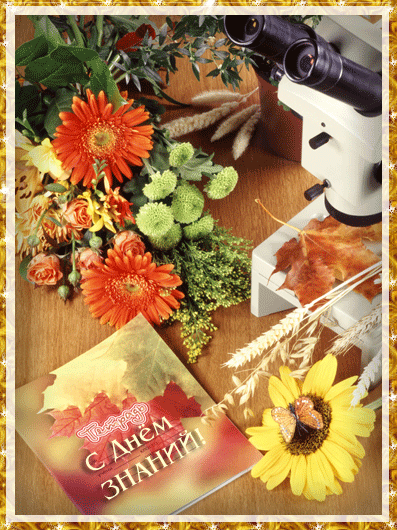 Открытки с поздравлениями на день знаний скачать бесплатно. 