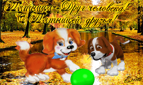 Прикольные открытки на пятницу. Открытки с пожеланиями на пятницу скачать бес...