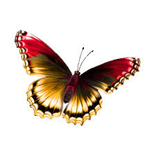 Мерцающие открытки с бабочками. Открытки с красивыми бабочками скачать беспла...