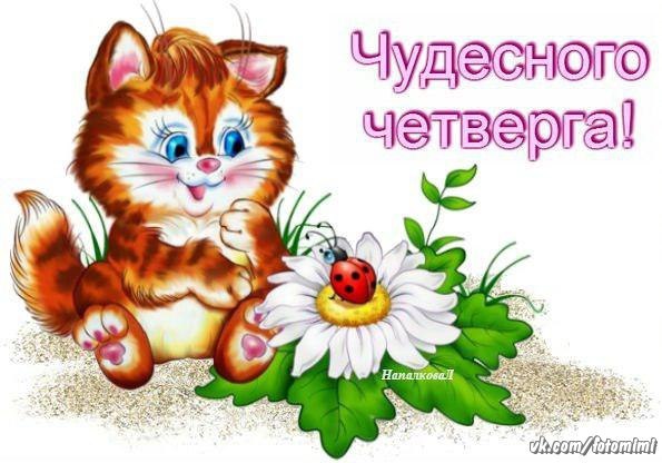Открытки отличного четверга скачать бесплатно. Прикольные открытки на четверг...