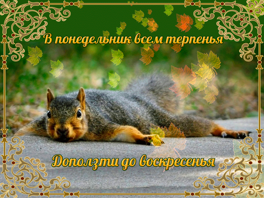 Открытки с пожеланиями легкого понедельника скачать бесплатно.