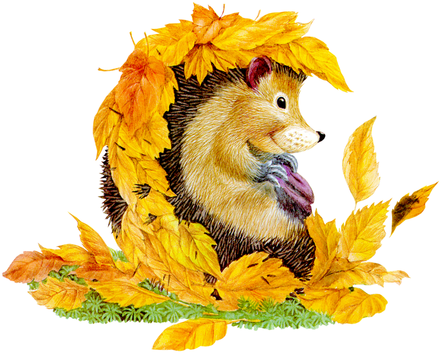 Чудесные открытки на тему Золотая Осень скачать бесплатно gif.