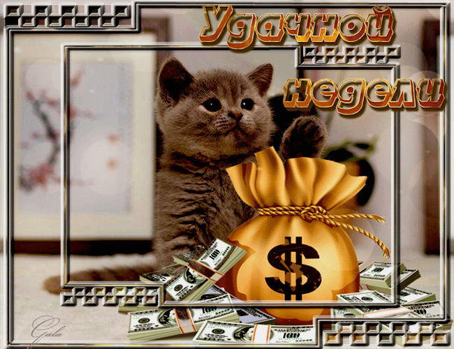 Забавные открытки с пожеланиями удачной недели. Открытки удачной недели скача...