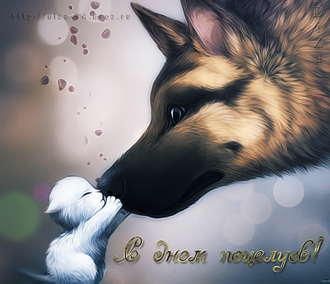 Красивые мерцающие открытки с днем поцелуя с анимациями скачать бесплатно.