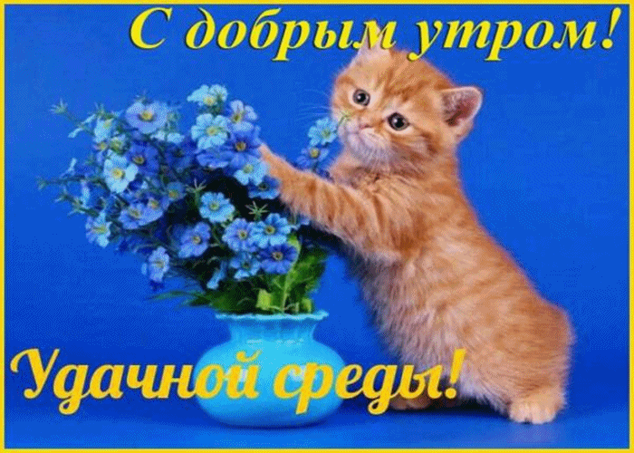 Открытки с пожеланиями отличной среды. Красивые открытки на среду.