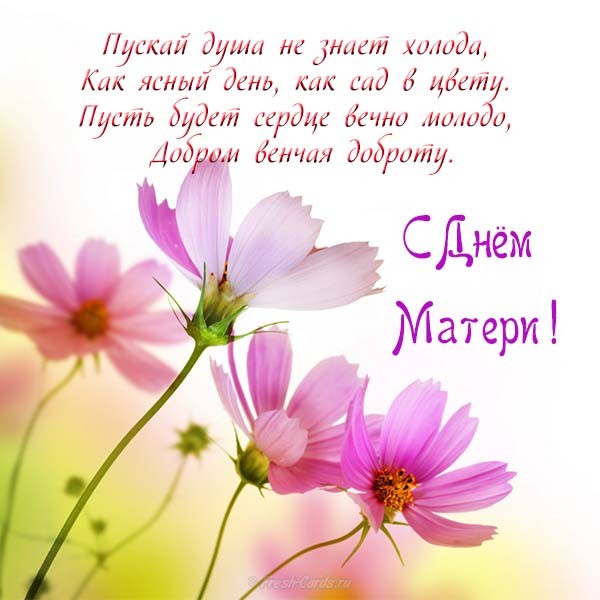 Поздравление с днем матери. Открытки на день матери скачать бесплатно.