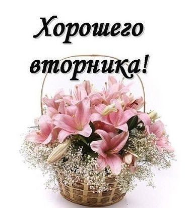 Позитивные открытки на вторник. Картинки про вторник скачать бесплатно.