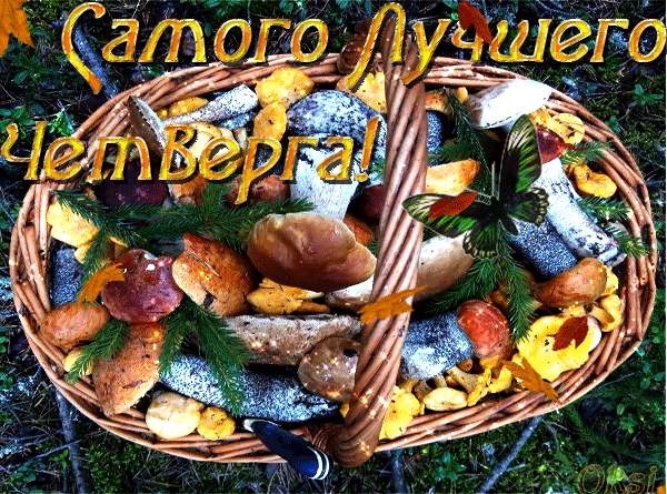 Анимационные открытки доброго утра и отличного четверга скачать бесплатно.