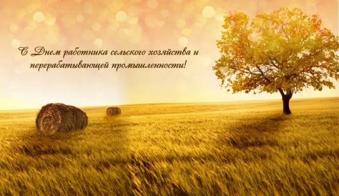 Открытки на день работников сельского хозяйства и перерабатывающей промышленн...