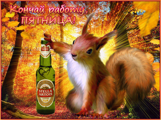 Прикольные открытки на пятницу. Открытки с пожеланиями на пятницу скачать бес...