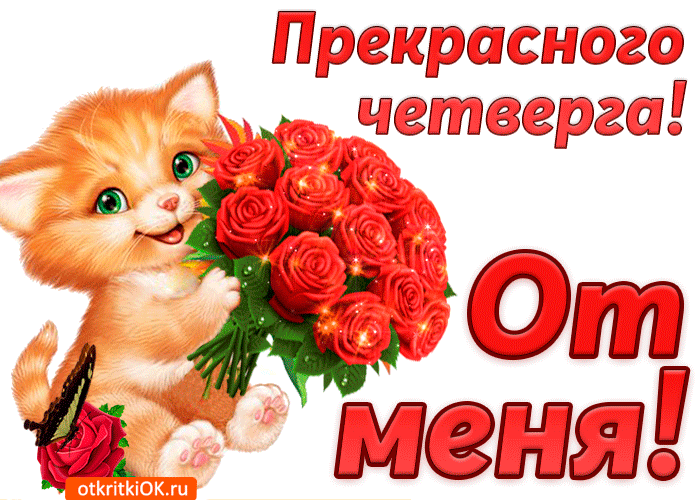 Открытки отличного четверга скачать бесплатно. Прикольные открытки на четверг...