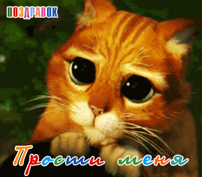 Красивые открытки с извинениями скачать бесплатно. Открытки прости меня gif.