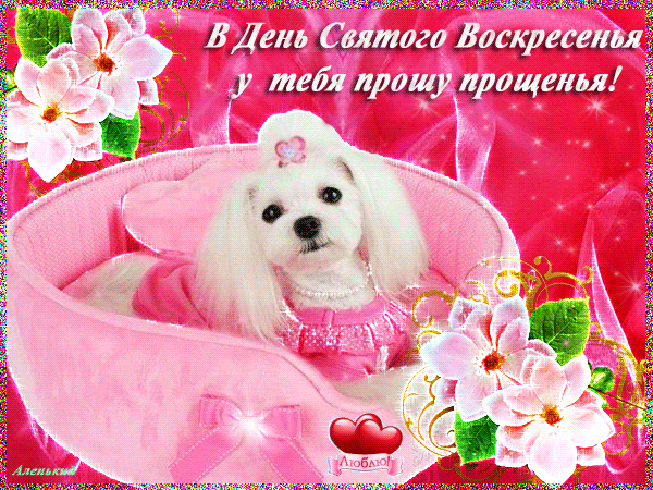 Открытки с Прощеным Воскресеньем скачать бесплатно. Открытки на Прощеное Воск...