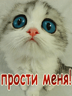 Красивые открытки с извинениями скачать бесплатно. Открытки прости меня gif.