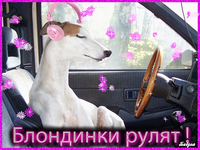 Открытки с Всемирным днем блондинок. Открытки с днем блондинок скачать беспла...