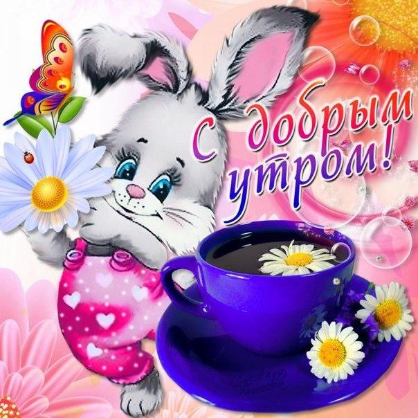 Открытка с пожеланиями доброго утра на каждый день скачать бесплатно 